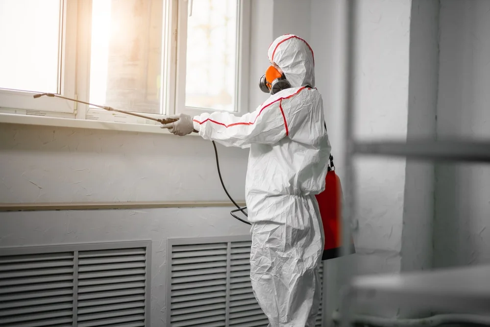 Professional mold remediation services in Clarks Grove, MN